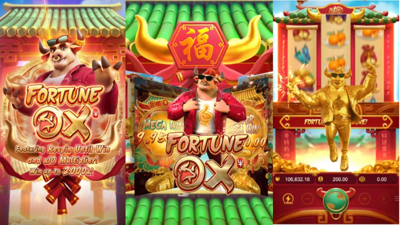 ANÁLISE FINANCEIRA DO FORTUNE OX